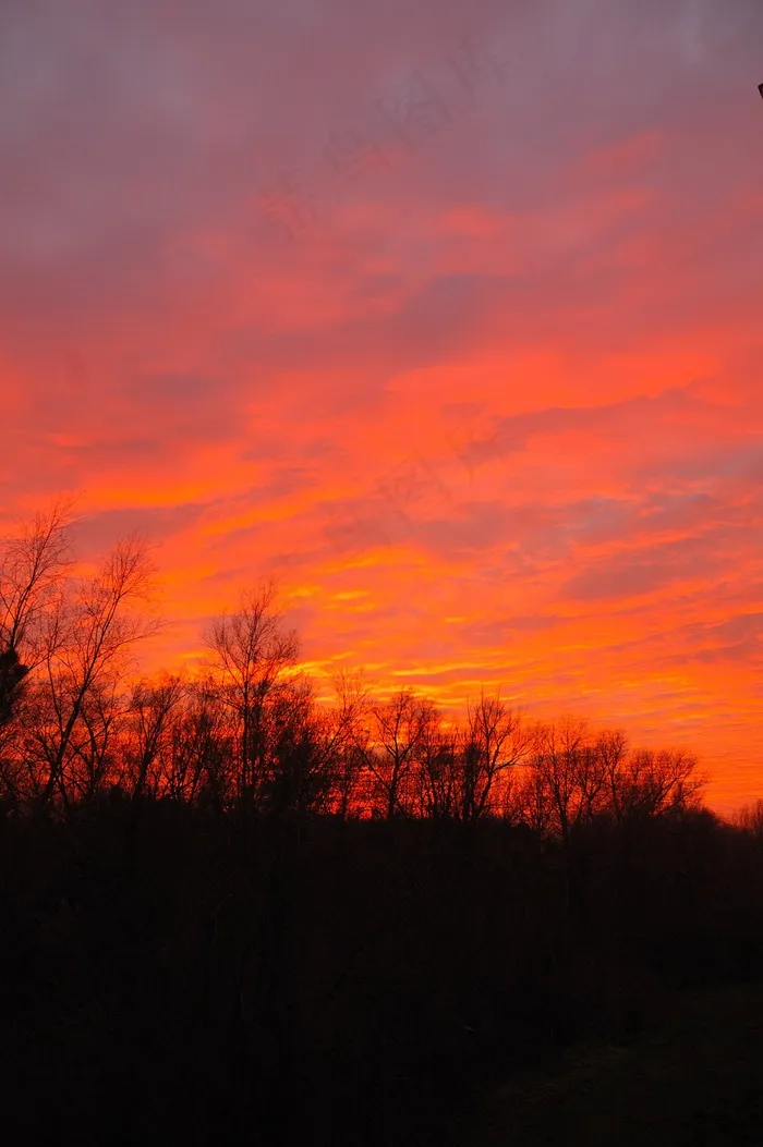 日落，树木，晚上，天空，红色，橙色，云