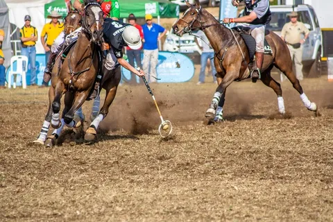 马球领域的球员