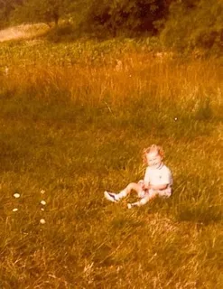 麦田,草原,稻田,油画,金色麦浪,关于我的16件事...（标记！）