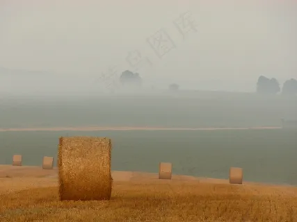 稻草，稻草，干草，场，农业，农场