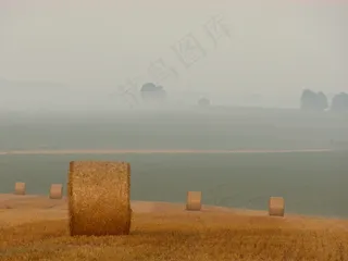 稻草，稻草，干草，场，农业，农场