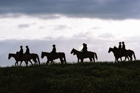 德克萨斯州，天空，云，男子，车手，马匹，景观