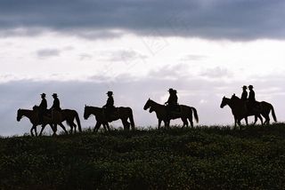 德克萨斯州，天空，云，男子，车手，马匹，景观