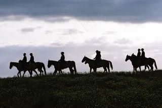 德克萨斯州，天空，云，男子，车手，马匹，景观