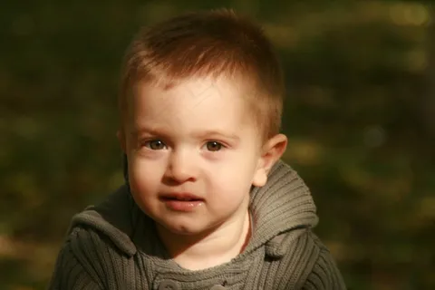 男孩,儿童,微笑,肖像,光,秋季,美 男孩,儿童,微笑,肖像,光,秋季,美