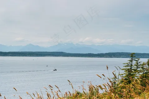 天空,树,风景,江河,海洋,山湖海自然