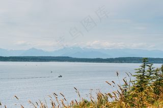 天空,树,风景,江河,海洋,山湖海自然