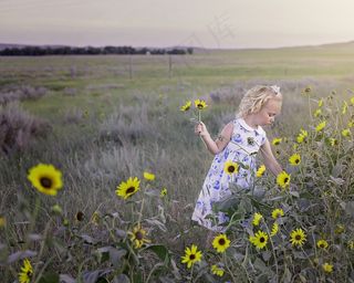 花海,草原,油菜花,江岭,油菜田,女孩在草地上摘向日葵