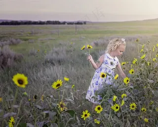 花海,草原,油菜花,江岭,油菜田,女孩在草地上摘向日葵
