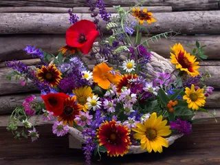 静物，鲜花，花束