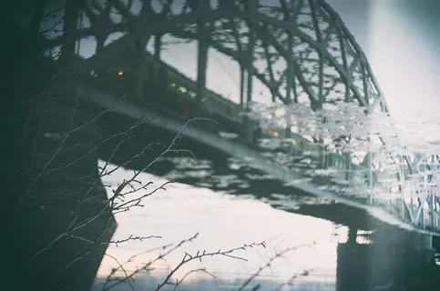 桥梁,排球网,窗,花卉,壁纸,铁路同轴反射