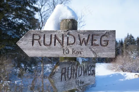 目录，木材，平坦，树木，雪，白，阳光明媚