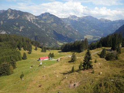 阿尔卑斯山，山，景观，田园，田园，高山