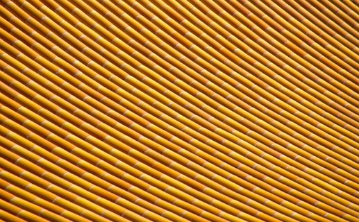 紫禁城的竹屋顶