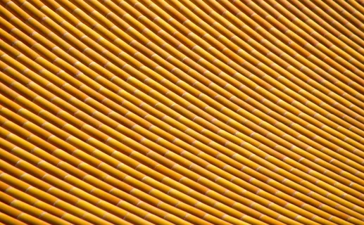 紫禁城的竹屋顶