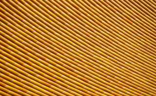 紫禁城的竹屋顶