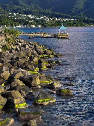 加勒比海，多米尼加，海，石头，水，海藻