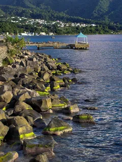 加勒比海,多米尼加,海,石头,水,海藻 加勒比海,多米尼加,海,石头,水,海藻