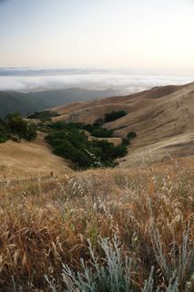 山,丘陵,雾,天空,景观,荒野 山,丘陵,雾,天空,景观,荒野