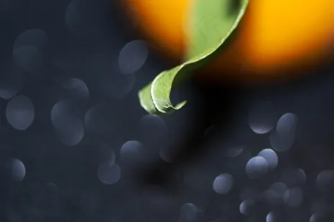 假，绿色，橘子，水果，普通话，组成