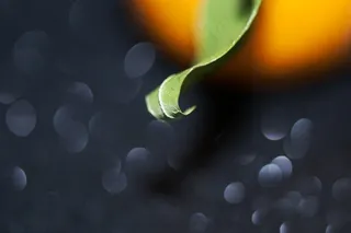 假，绿色，橘子，水果，普通话，组成