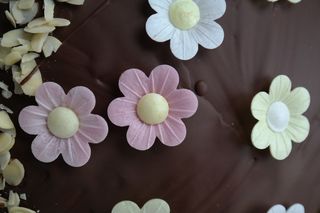 饰品，花的，巧克力蛋糕，蛋糕，巧克力