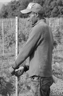 季节性工人，工人，农民，人