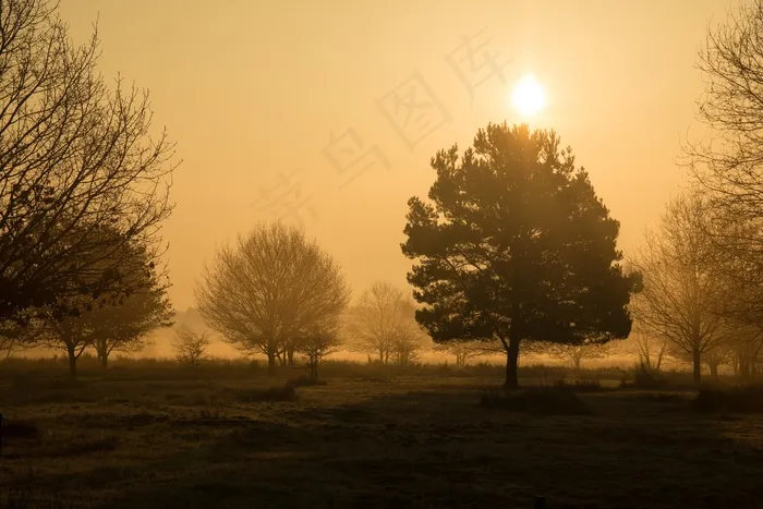 Morgenstimmung，Heide，Wahner Pagan，日出，朦胧