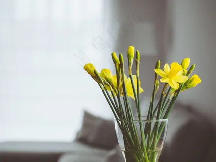 鲜花,花瓶,室内,首页,气味,关闭,花束 鲜花,花瓶,室内,首页,气味,关闭,花束