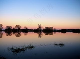 晚上，树，剪影，背景，气氛，心情