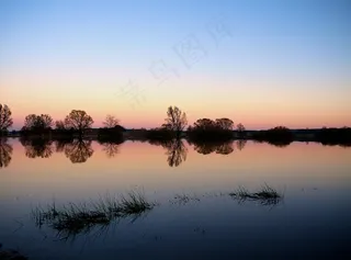 晚上，树，剪影，背景，气氛，心情
