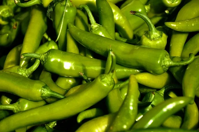 蔬菜，青椒，食品