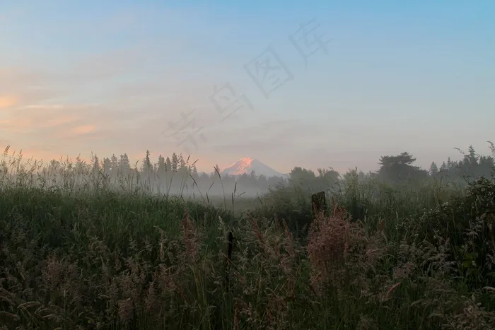雷尼尔山，日出，黎明，天空，蓝色，早晨，光