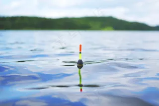 湖，鱼，更糟，水，抓鱼，放松