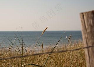 海，北海，荷兰，海岸，水，草，海滩
