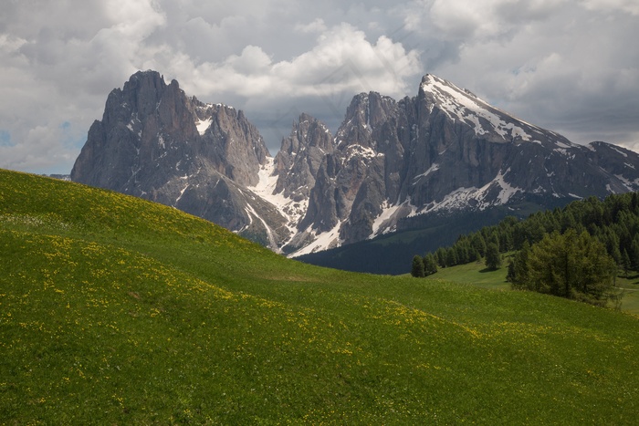 南蒂罗尔，Seiser Alm，山脉，全景