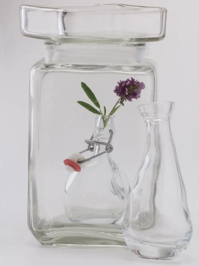 静物，玻璃，鲜花，瓶子，透明