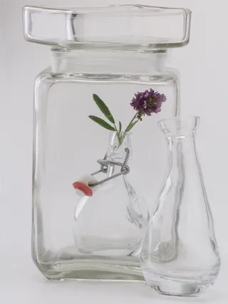 静物，玻璃，鲜花，瓶子，透明