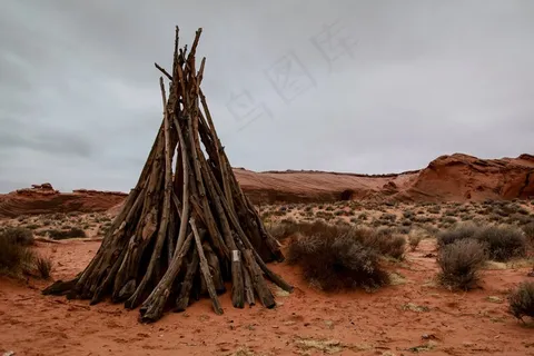 沙漠，红色，木，草，景观，旅行，景区