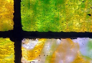 洞穴溶洞,生态林,鹿角苔,油画,迷你鹿角苔,玻璃（*）染色