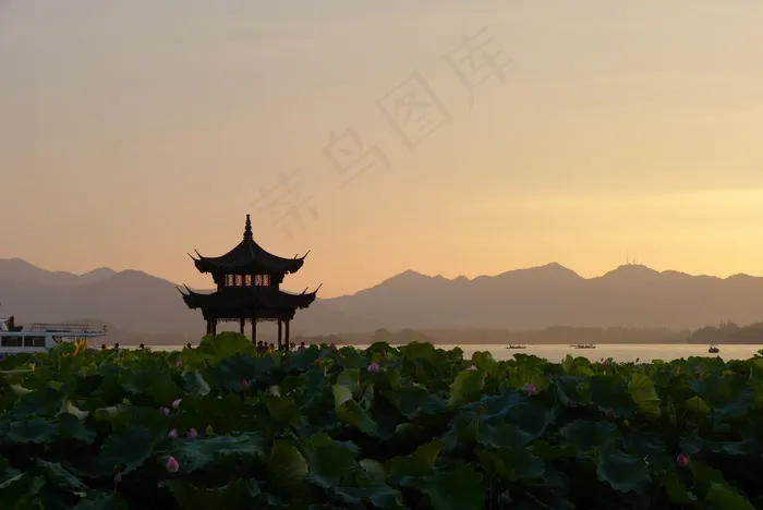 日落，中国，宝塔，荷花