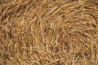 干草，农场，农村，纹理