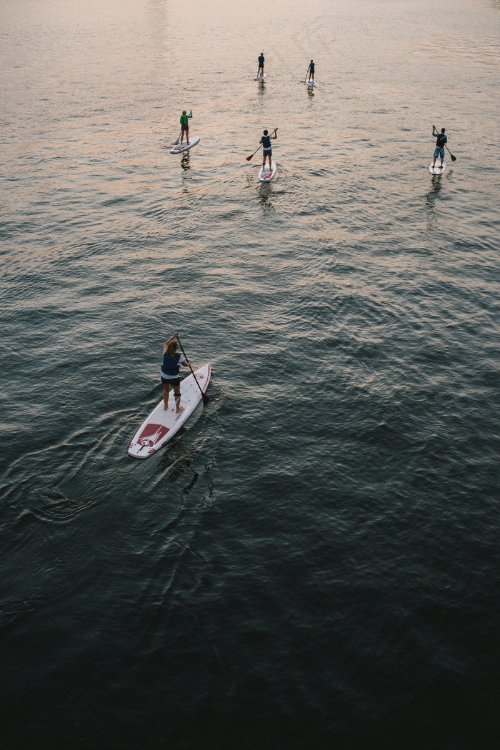 虫子,图画,卡通动漫人物,木舟,屏幕截图,人们在日落时的桨板