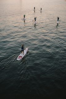虫子,图画,卡通动漫人物,木舟,屏幕截图,人们在日落时的桨板