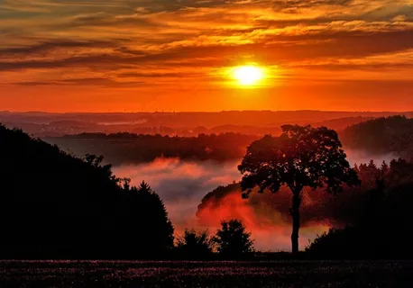 日出,雾,自然,早上,Vulkaneifel,早晨的太阳 日出,雾,自然,早上,Vulkaneifel,早晨的太阳