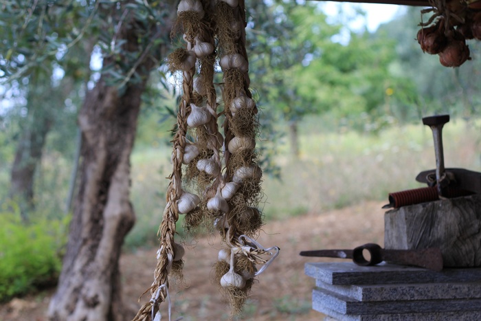 大蒜，香料，干燥，蔬菜，食品，成熟，健康