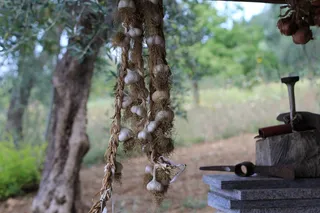 大蒜，香料，干燥，蔬菜，食品，成熟，健康
