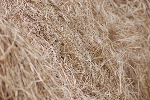 干草，场，草，农村，农场，农田，自然