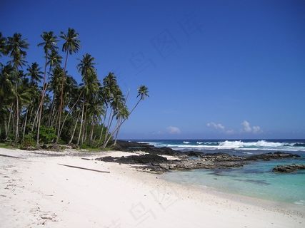 棕榈树，海滩，美丽的海滩，沙滩，萨摩亚