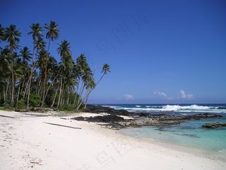 棕榈树，海滩，美丽的海滩，沙滩，萨摩亚